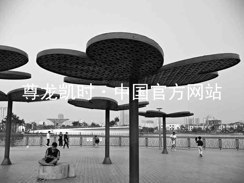 尊龙凯时·中国官方网站